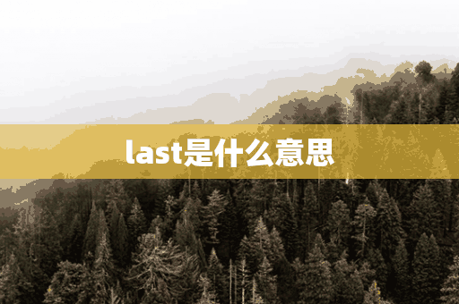 last是什么意思